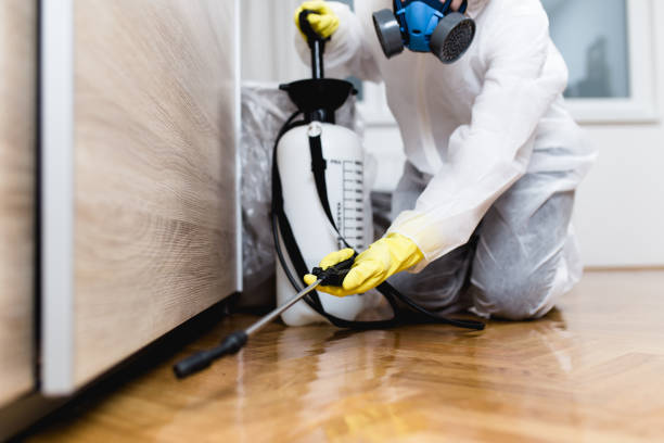 Best Flea Control Services  in Bean Station, TN