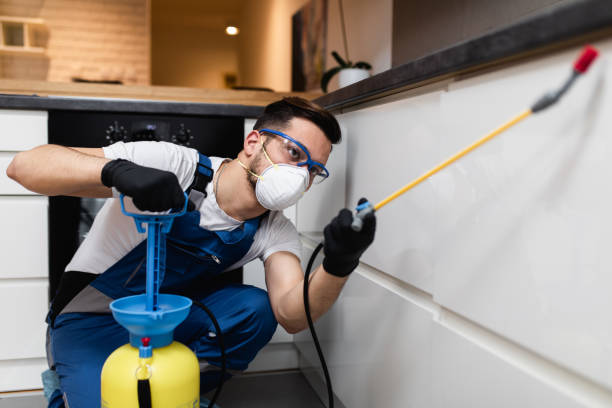 Best Pest Control for Restaurants  in Bean Station, TN