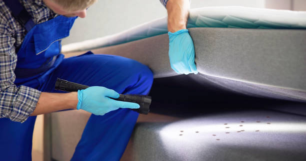 Best Wasp Removal Services  in Bean Station, TN