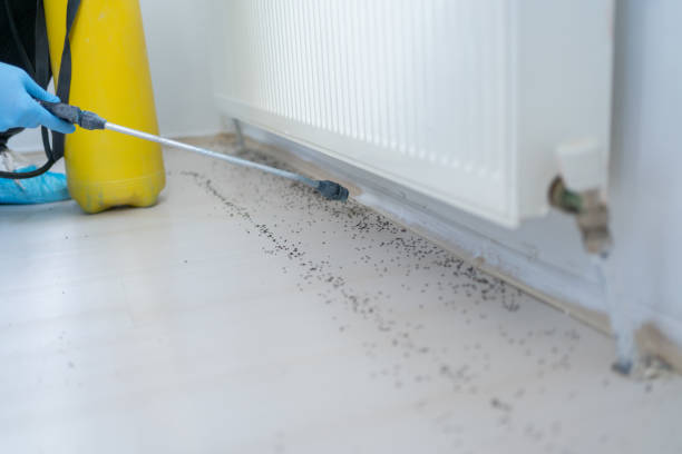 Pest Control for Restaurants in Bean Station, TN